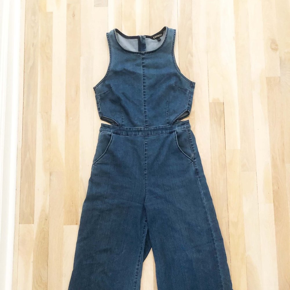 Express Jean Jumpsuit
